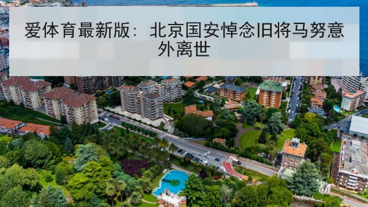 爱体育最新版: 北京国安悼念旧将马努意外离世