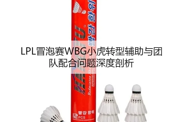 LPL冒泡赛WBG小虎转型辅助与团队配合问题深度剖析
