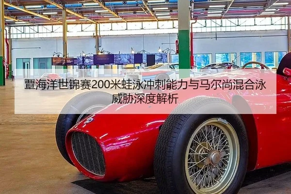 tan-hai-yang-shi-jin-sai-mi-wa-yong-chong-ci-neng-li-yu-ma-er-shang-hun-he-yong-wei-xie-shen-du-jie-xi-2-418.jpg