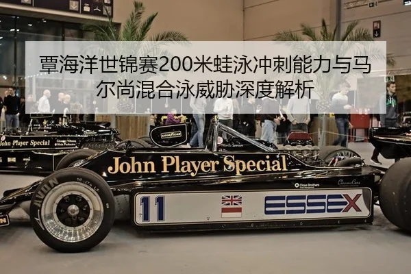 tan-hai-yang-shi-jin-sai-mi-wa-yong-chong-ci-neng-li-yu-ma-er-shang-hun-he-yong-wei-xie-shen-du-jie-xi-3-355.jpg